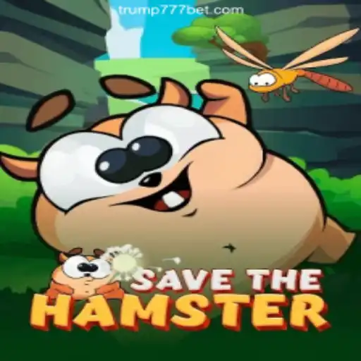 SavetheHamster: A Fun and Engaging Adventure Game in the Digital Era
